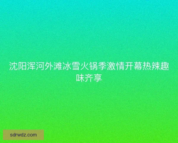 沈阳浑河外滩冰雪火锅季激情开幕热辣趣味齐享